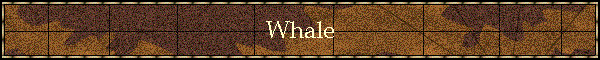 Whale